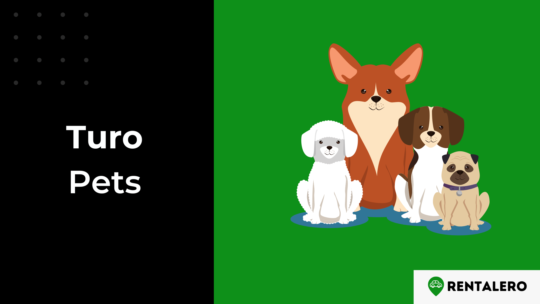Does Turo Allow Pets? Explained!