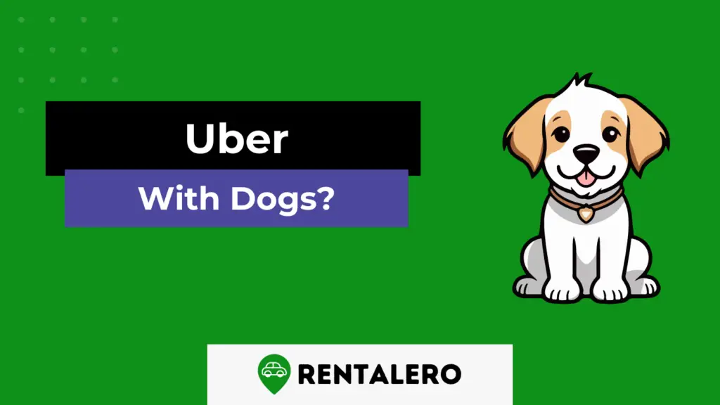 Can I Drive Uber With My Dog? The Answer is Here! Rentalero
