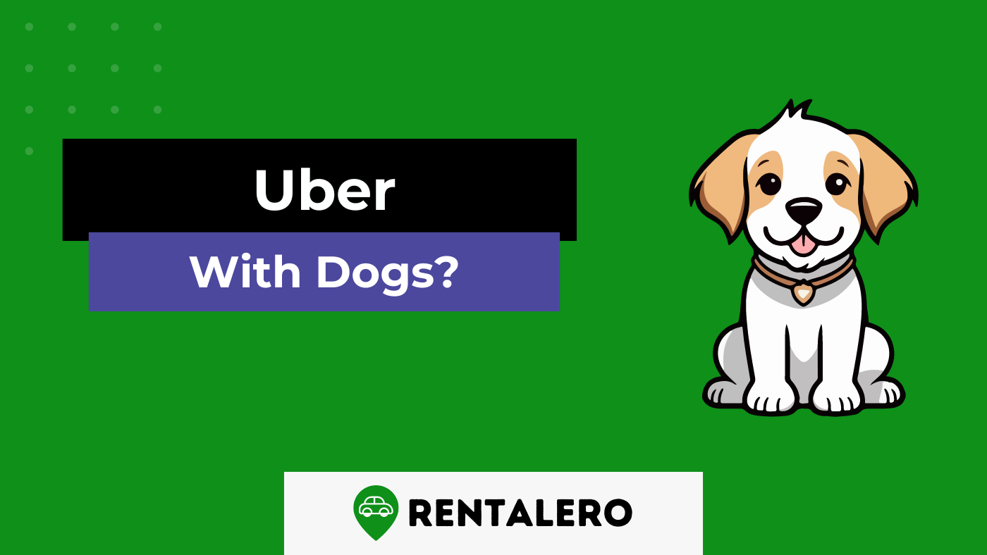 Can I Drive Uber With My Dog? The Answer is Here!